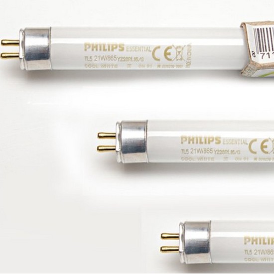 필립스 에쎈셜 TL5 21W 백색 (10개)_이미지