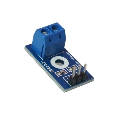 �Ƶ��̳� ������������ ���