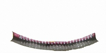 하나스포츠 쥬얼리 훌라후프 (1.8kg)_이미지