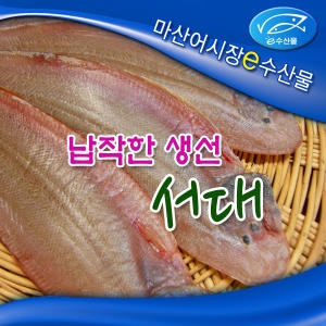 너나드리 제수생선 반건조 서대 3마리 박대 말린서대 마른 서대