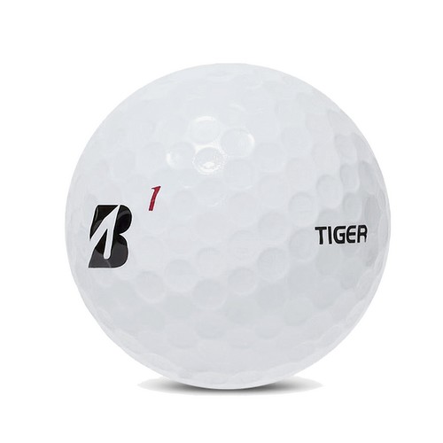 �긮������ 2025 TOUR B X Ÿ�̰ſ��� �����