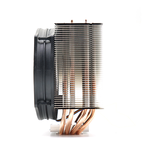 ��� TRINITY 6.0