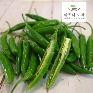  바르다야채 매운 청양고추 신홍 매운 고추 1kg