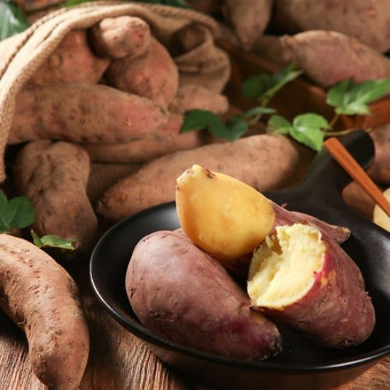 착한식탁 해남 무농약 세척 고구마 한입 10kg