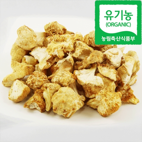 건조 노루궁뎅이버섯 100g