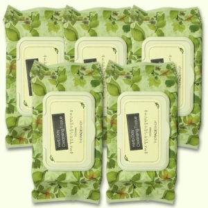 LG생활건강 더페이스샵 허브데이 클렌징 티슈 70매 (5팩)