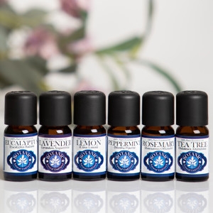 캔들조이 보타닉 아로마 에센셜 오일 3종 세트_이미지