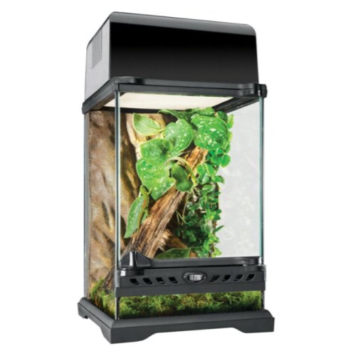 네츄럴 테라리움 20x20x30cm