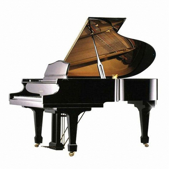 삼익악기 NSG-150 (블랙)_이미지