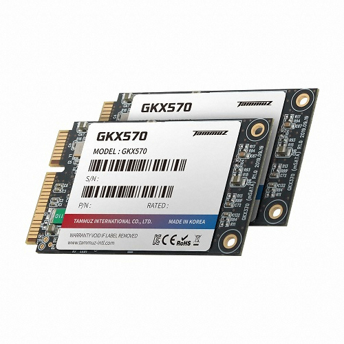 타무즈 GKX570 mSATA 벌크 (256GB)_이미지
