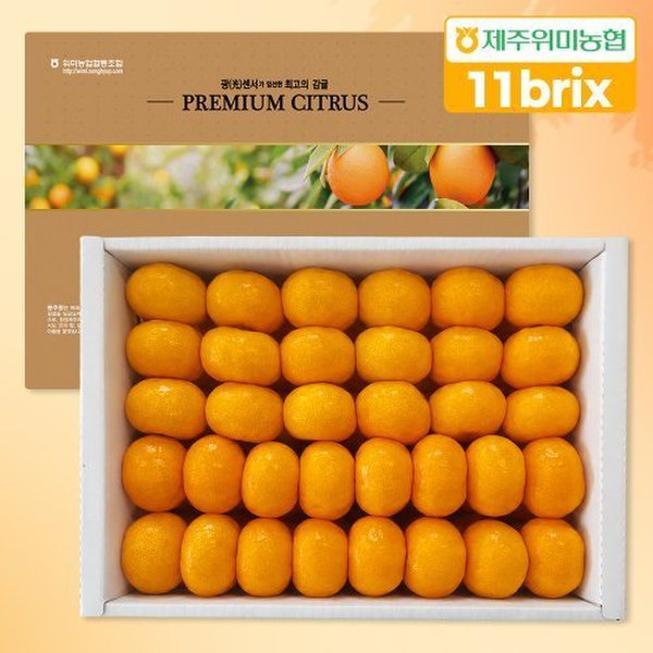 문주왕 당도선별 11brix 신선한 하우스 감귤 5kg