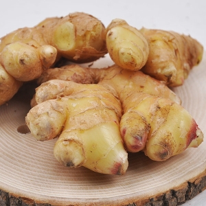 Ǫ���� �������� �泲 ���� ��������� ����� Ưǰ 2kg