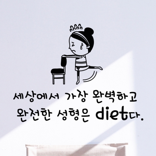 낭만창고 idc322-완전한 성형은 diet_이미지