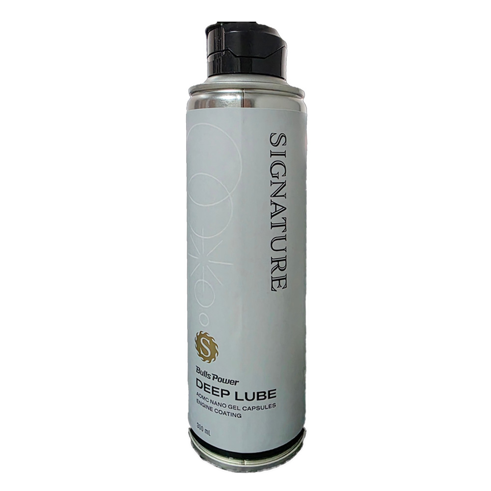 불스원  불스파워 시그니처 딥루브 엔진코팅제 300ml (2개)