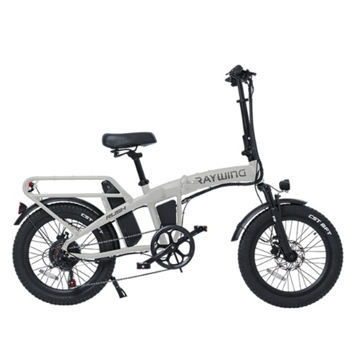 ������ ���� DUAL