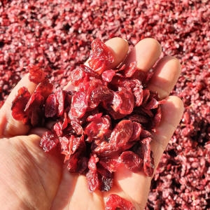 자연나라닷컴 구례 산동마을 무농약 친환경 건산수유  지리산농부마을