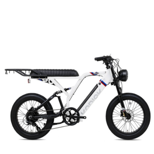 알톤스포츠 코디악 20FAT DUAL (2022년형) (36V, 16.7Ah)_이미지