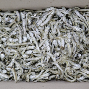 동해청정 다시멸치 1.5kg 대멸 국물용 육수용