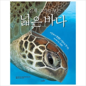 사파리 실제 크기로 보는 넓은 바다 사진보다 생생한 그림으로 만나는 바다에 사는 동물들