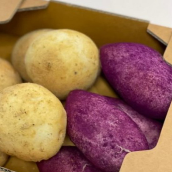 디저트바이블룸 고구마빵 10개입+감자빵 10개입 (1개)