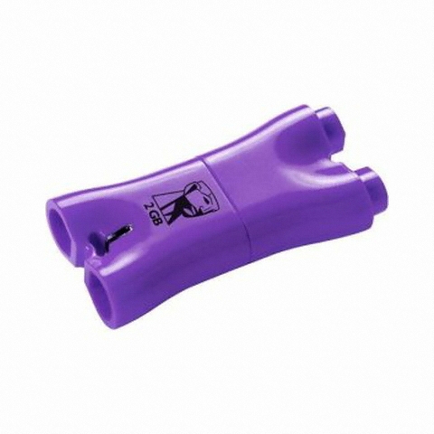 킹스톤 Fun Mini (2GB)