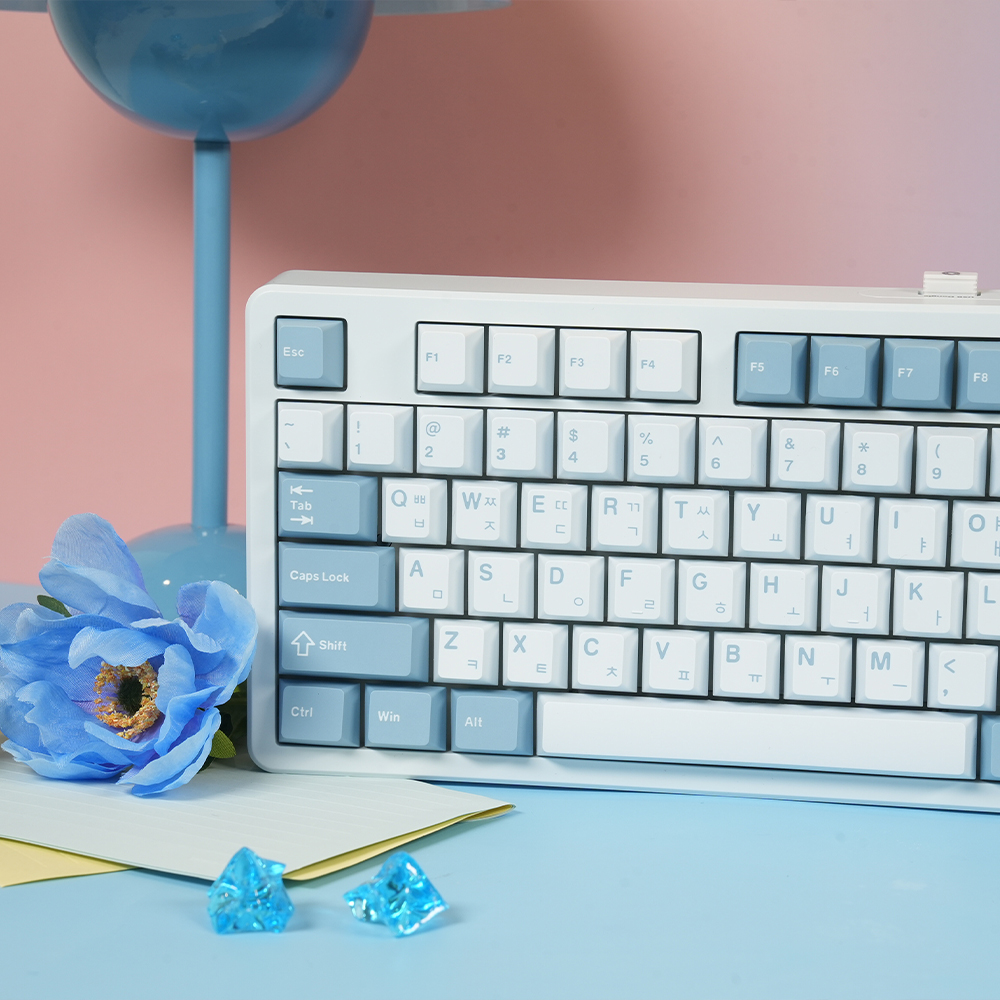 QSENN Q104 8K Ǯ��Ȱ ������ ���� ���ý�Ÿ