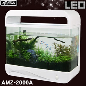 아마존 액션 티라노 풀세트 AMZ-2000A