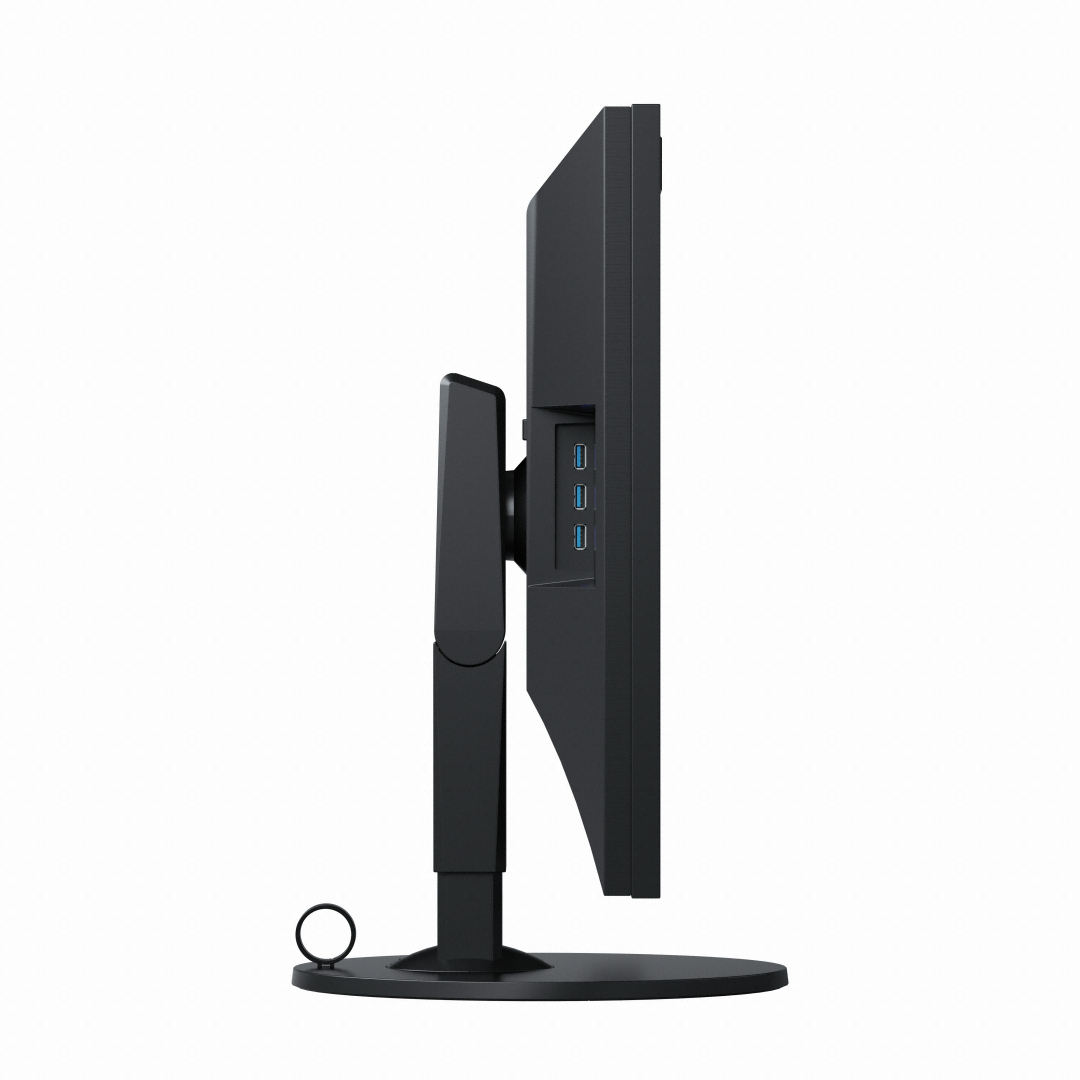 EIZO ColorEdge CG319X