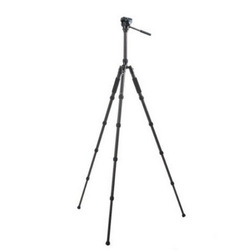 �÷��� T-2205X �ﰢ��