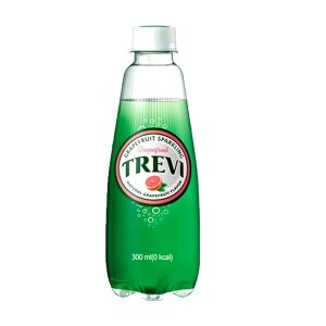 롯데칠성음료 <b>트레비</b> 자몽 300ml