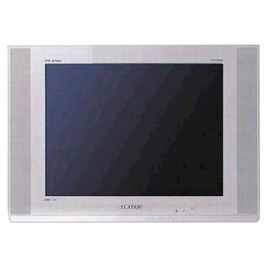 삼성전자 명품 CT-29A10HRC_이미지