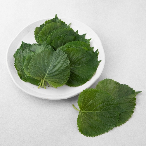 곰곰 GAP 깻잎 60g 1봉_이미지