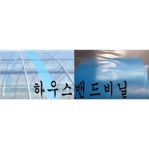 하우스 밴드 필름 0.2mm