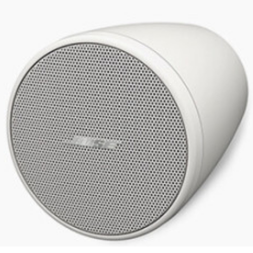 BOSE FS2P