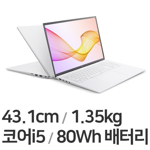 LG전자 2021 그램17 17Z90P-GA50K (SSD 256GB)