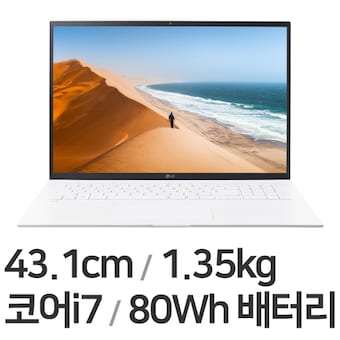 LG전자 2022 그램17 17Z95P-GA76K