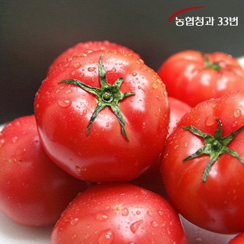농협청과33번 토마토 10kg 5번 쥬스용_이미지