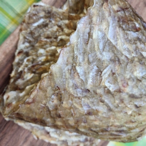삼천포 장줄쥐포 두꺼운 줄쥐포 쥐치어육92% 해광쥐포