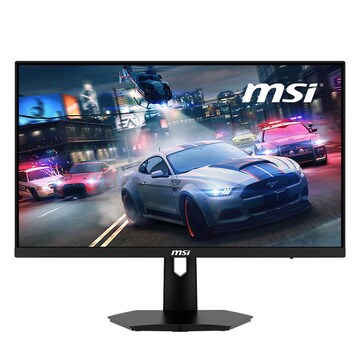 MSI G244F IPS 게이밍 170 아이세이버 (해외구매)