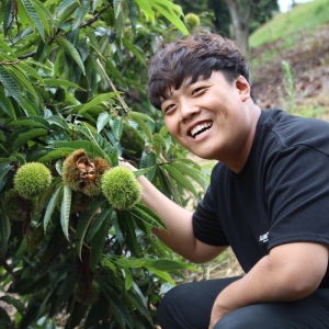  공주정안알밤 햇밤 대 2kg [1개] 상품이미지