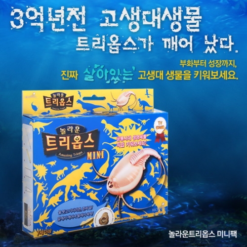 리치웰 트리옵스 키우기 미니팩이미지입니다. 누르면 해당 게시물로 새창이동합니다.