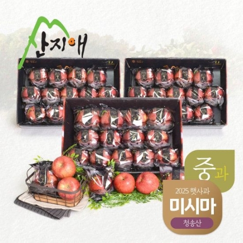  산지애 블랙라벨 사과 39~42과 9kg [1개]