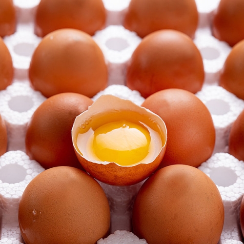 더싱싱 HACCP 난각번호 1번 유정란 60구
