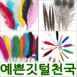 조은 드림캐쳐깃털