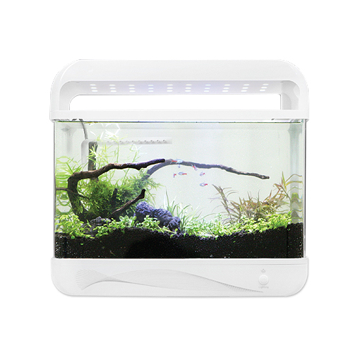 ��ǰ �� �̹���