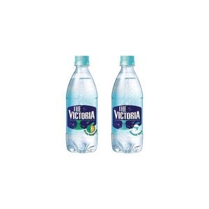 웅진식품 더 빅토리아 청귤 + 썸머스노우 500ml (40개)