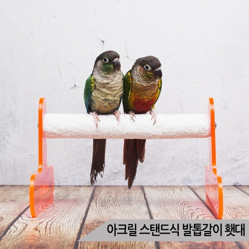 [불명] 네추럴 중대형용 발톱갈이 횃대 내/외부겸용 /앵무새_이미지