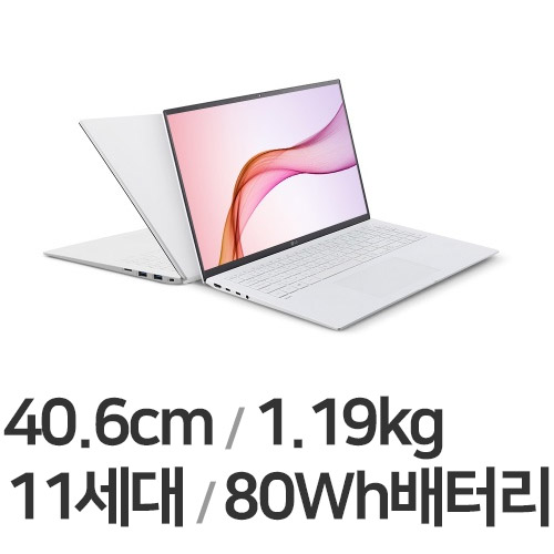 LG전자 2021 그램16 16Z90P-GA50K (SSD 2TB + SSD 256GB)