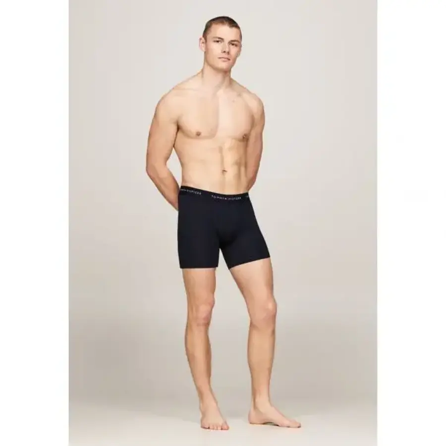  TOMMY Hilfiger 톰미 힐피거 3팩 바지 기본 빨강, 흰색, 사막 하늘 6264120
