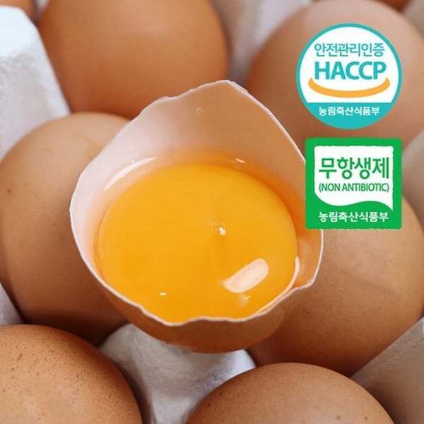 농부들의수확 자연방사 무항생제 난각1번 유정란 20구 (3개)_이미지